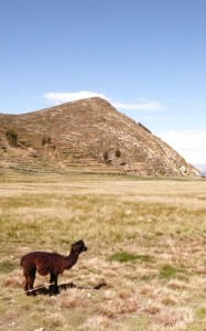 Bolivia, Isla del Sol